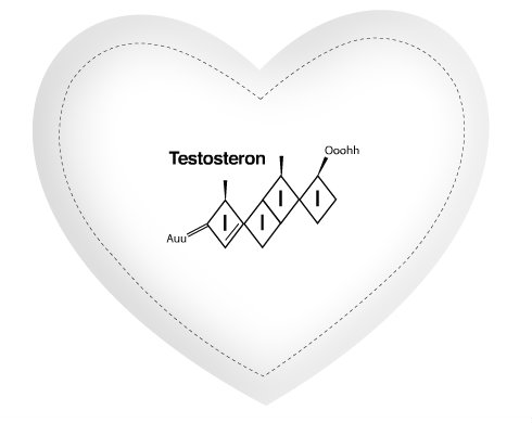 Polštář Srdce Testosteron