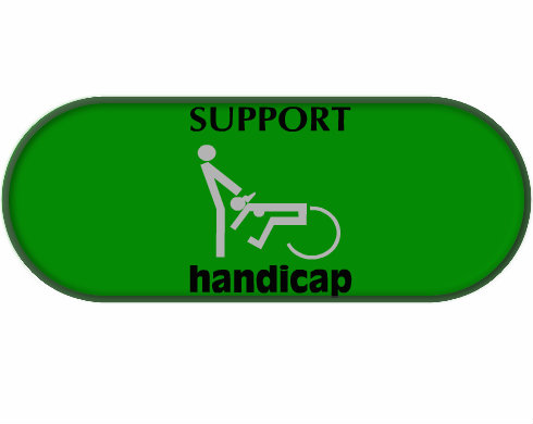 Penál Support handicap