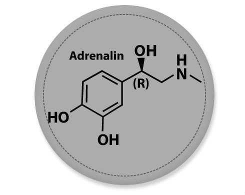 Adrenalin Placka - Bílá